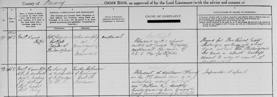 irish petty court record